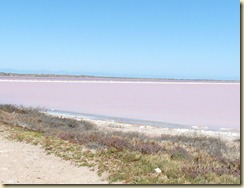 Pink Lake