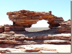 Nature's Window