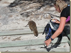 100205 Rottnest Island_046