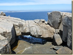 Nature's Bridge
