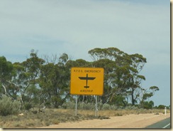100220 Nullabor Plain_012