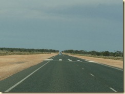 100220 Nullabor Plain_013