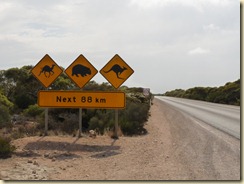 100220 Nullabor Plain_073