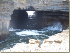 n Blowhole