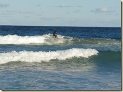 Surfer im Wasser in Curl Curl