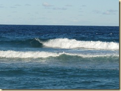 Wellen am Strand von Curl Curl