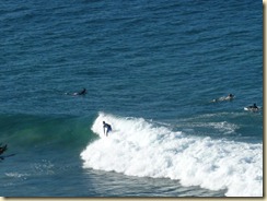 Surfer
