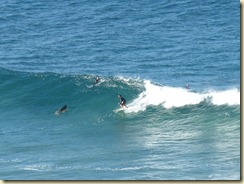 Surfer