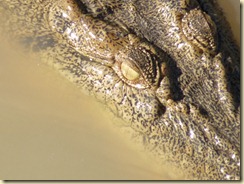 Schau mir in die Augen, Kleines